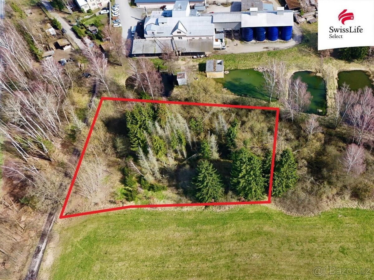 Prodej lesa 4442 m2, Rodvínov