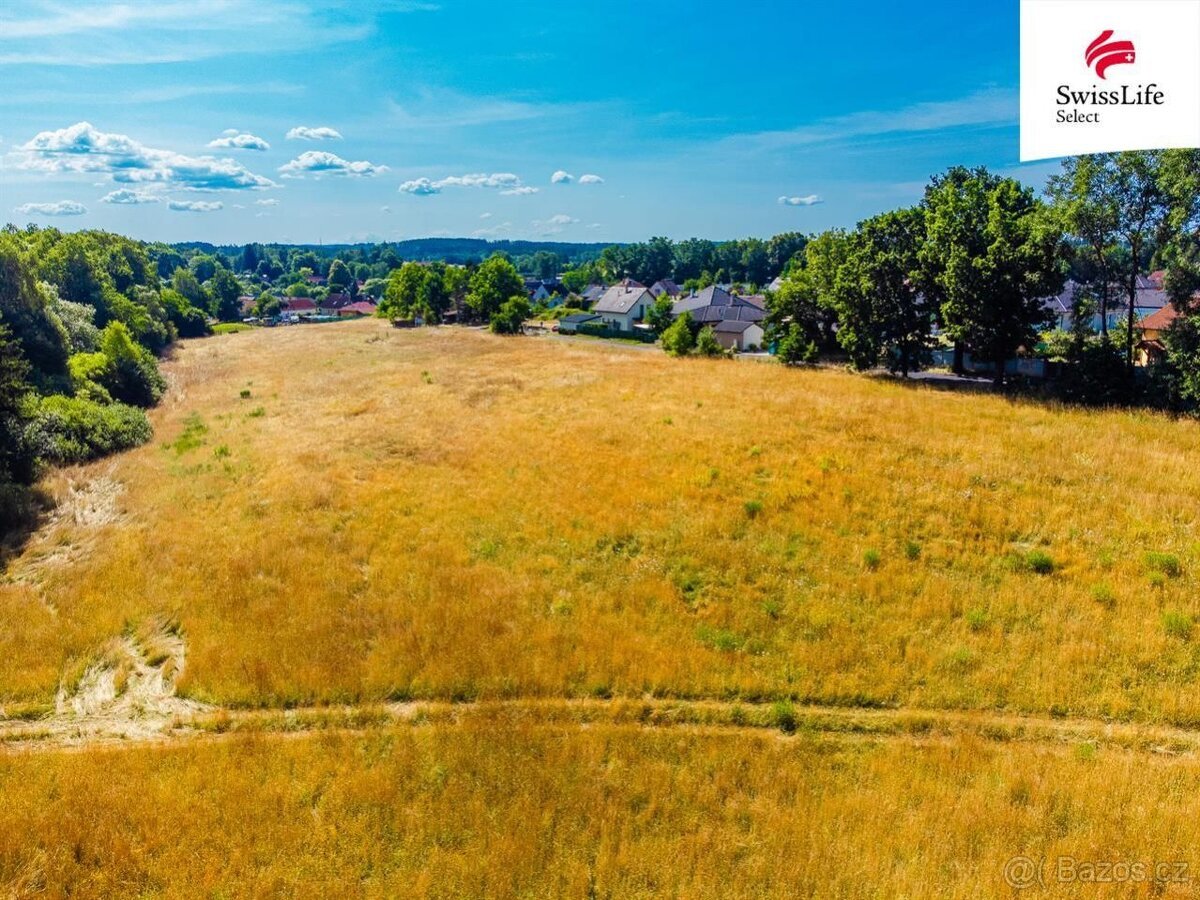 Prodej pozemku 11001 m2, Rodvínov