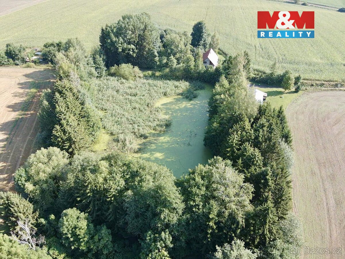 Prodej vodní plochy v Rychnově nad Kněžnou