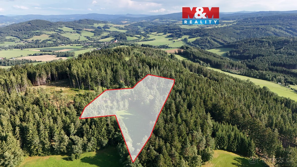 Prodej lesa, 15707 m², Petrovice u Sušice