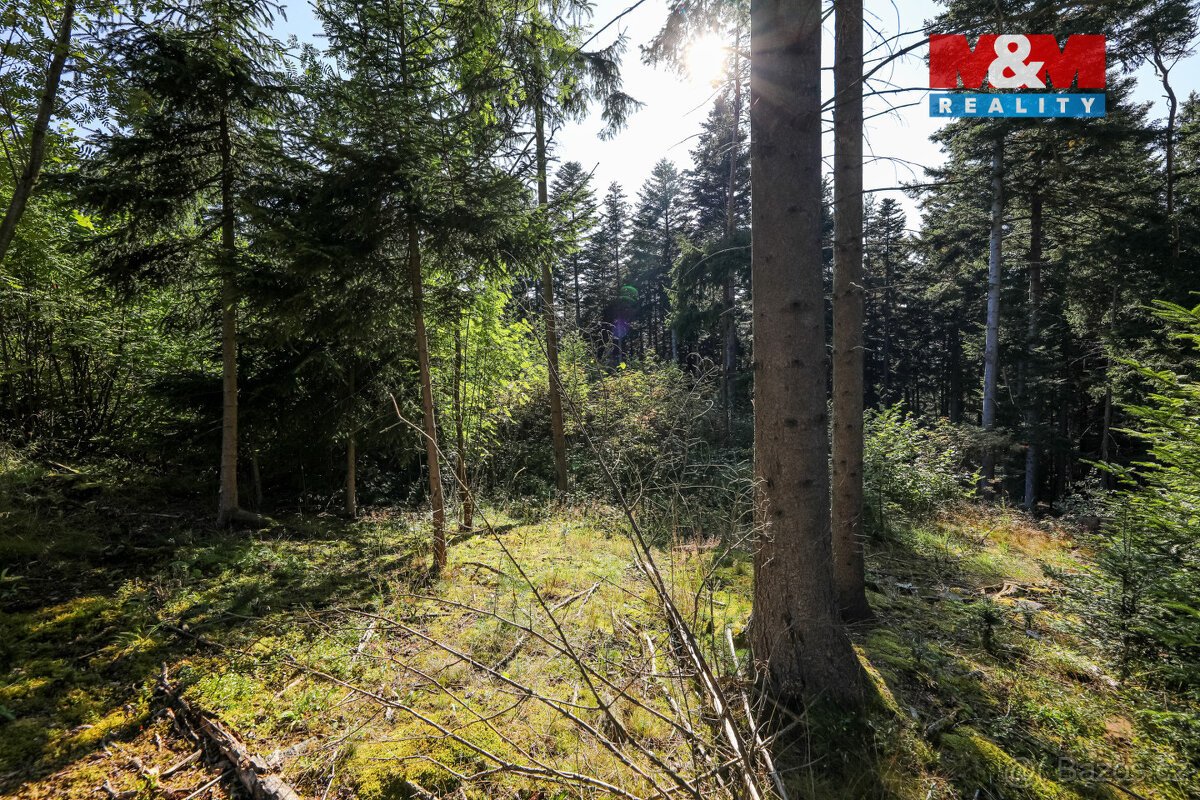 Prodej lesa, 15707 m², Petrovice u Sušice