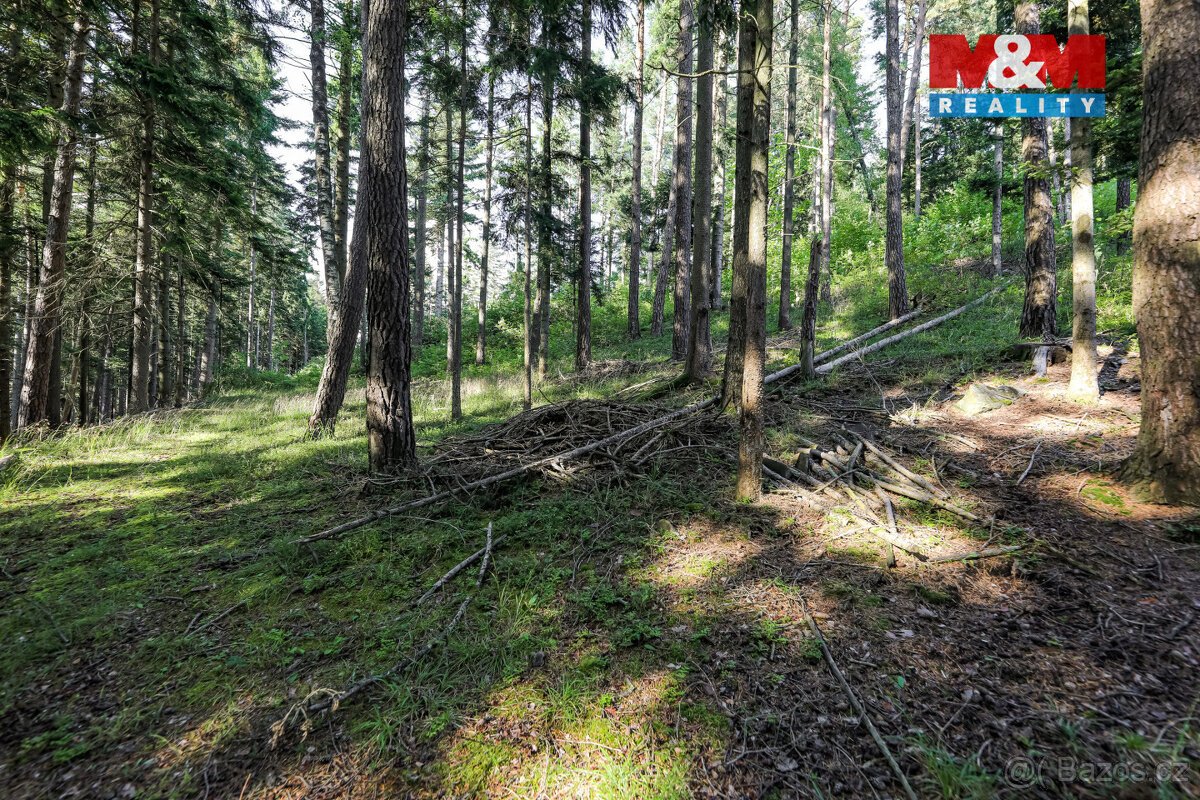 Prodej lesa, 15707 m², Petrovice u Sušice