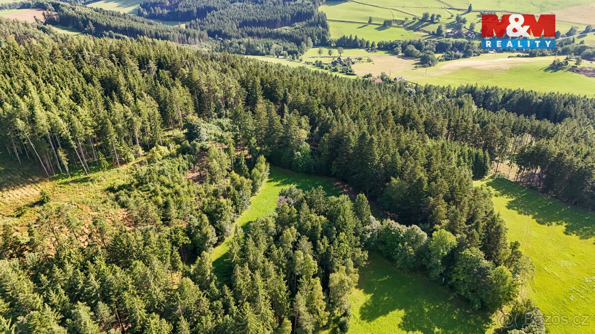 Prodej lesa, 15707 m², Petrovice u Sušice