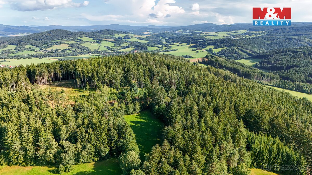Prodej lesa, 15707 m², Petrovice u Sušice