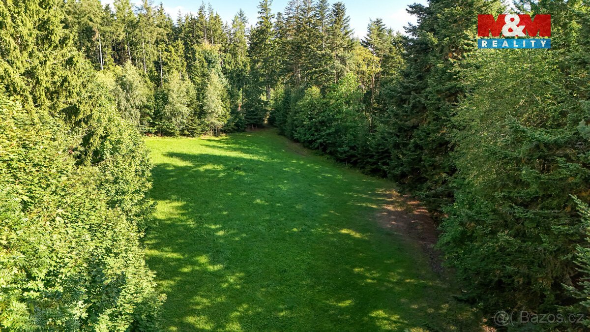 Prodej lesa, 15707 m², Petrovice u Sušice