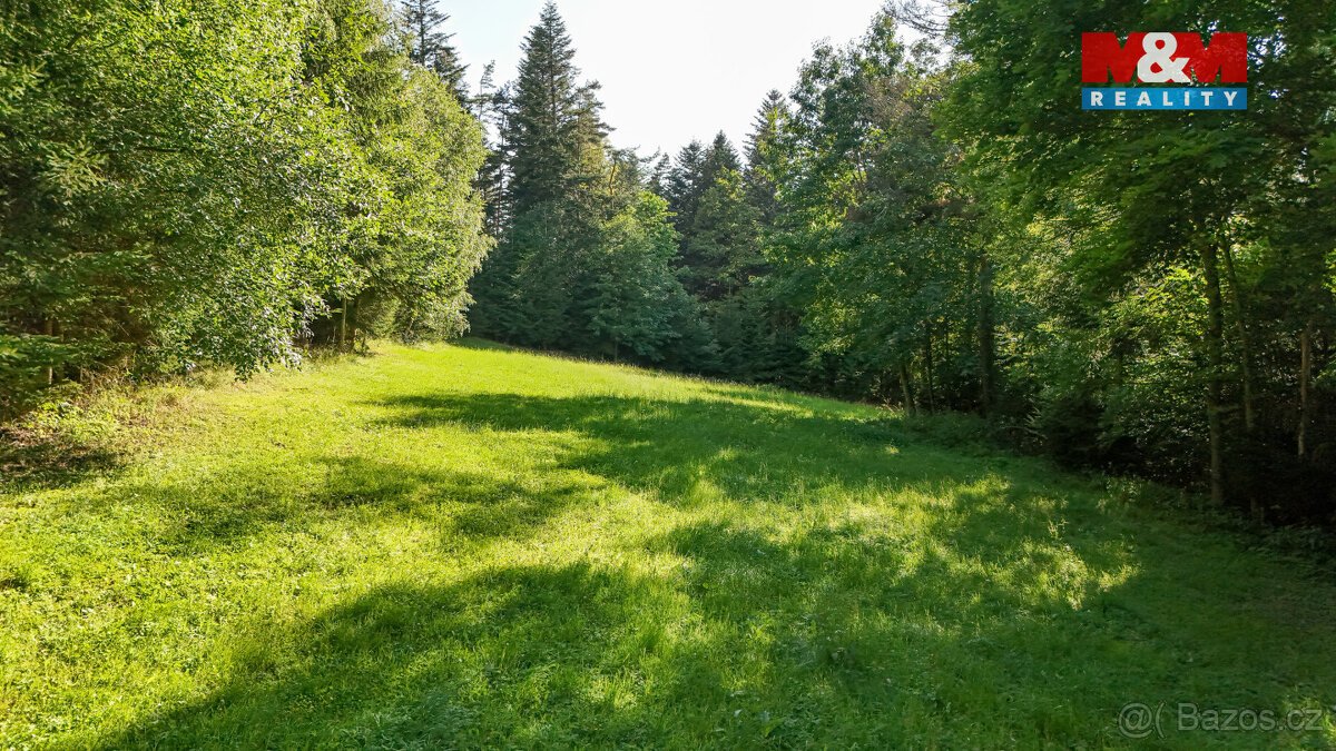 Prodej lesa, 15707 m², Petrovice u Sušice