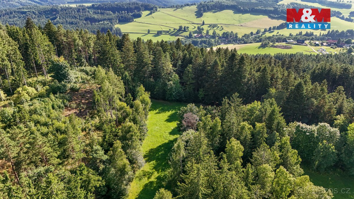 Prodej lesa, 15707 m², Petrovice u Sušice
