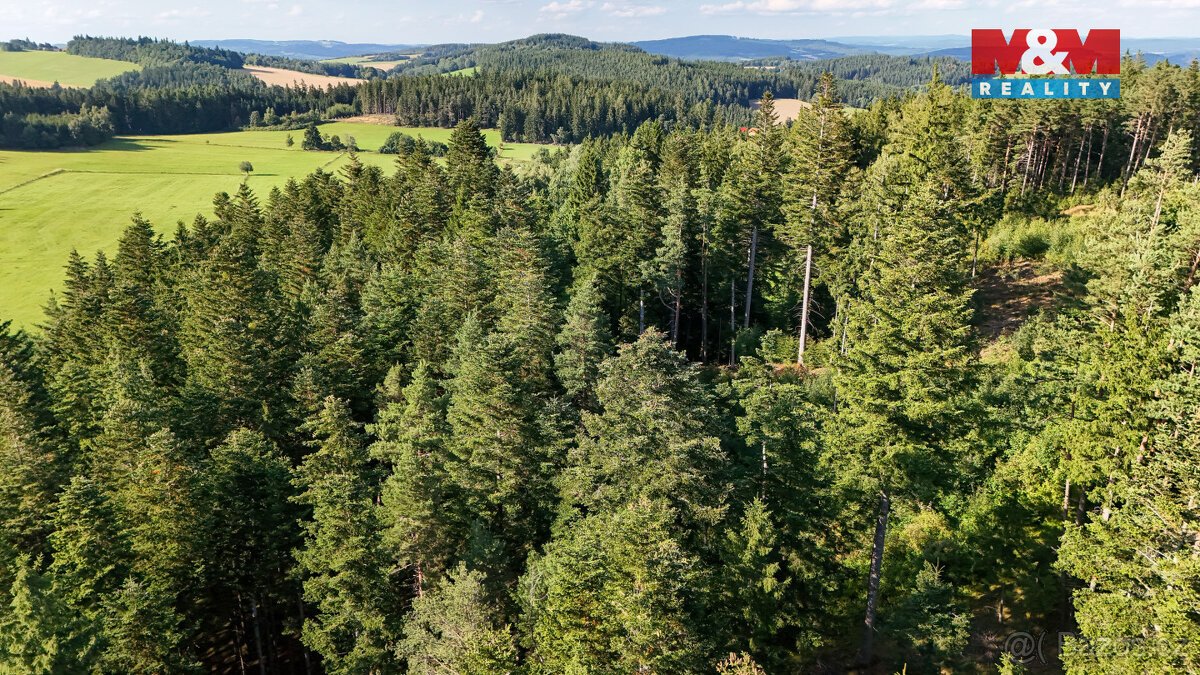 Prodej lesa, 15707 m², Petrovice u Sušice