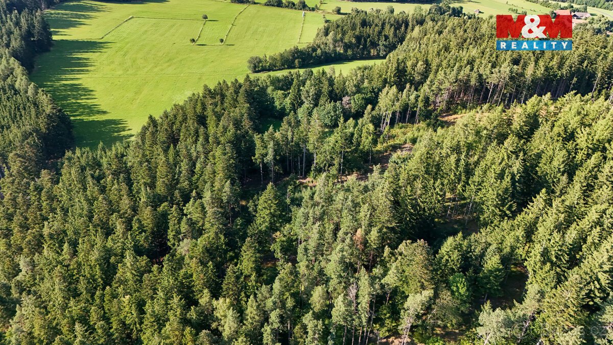 Prodej lesa, 15707 m², Petrovice u Sušice