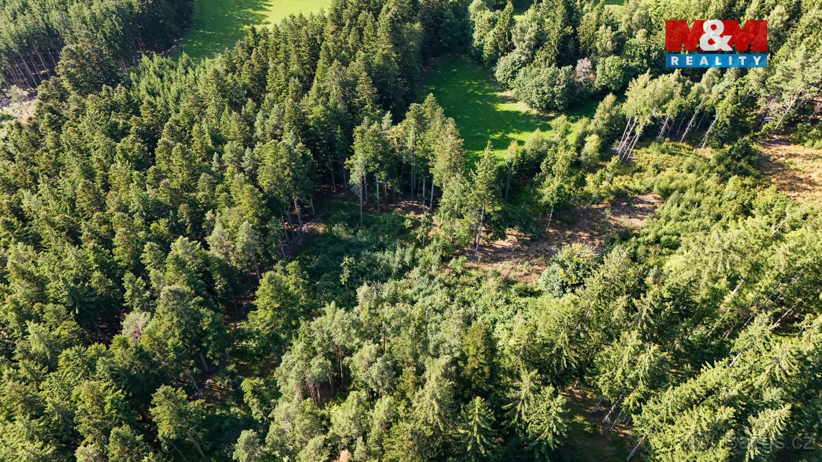 Prodej lesa, 15707 m², Petrovice u Sušice