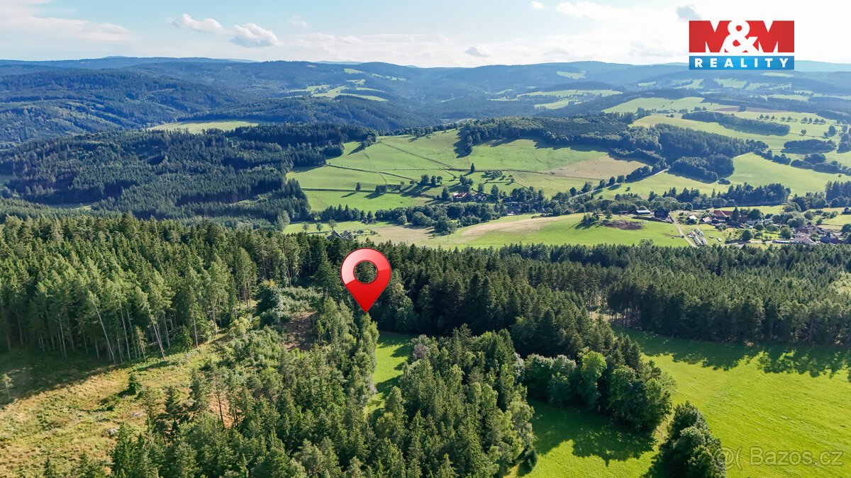 Prodej lesa, 15707 m², Petrovice u Sušice