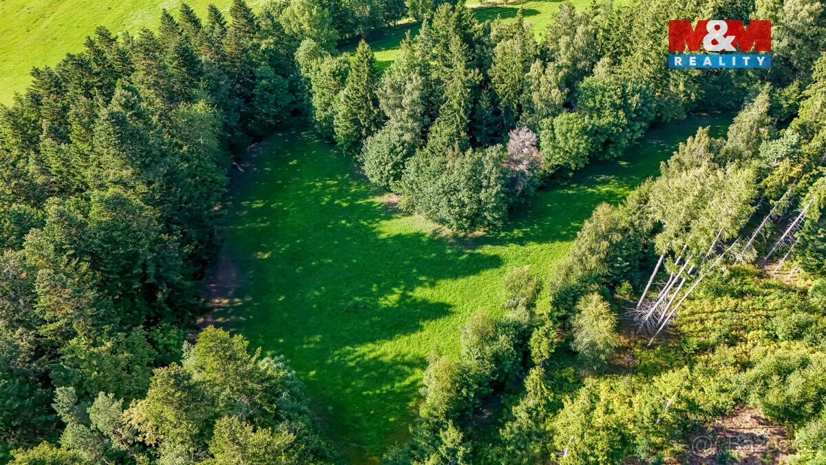 Prodej lesa, 15707 m², Petrovice u Sušice