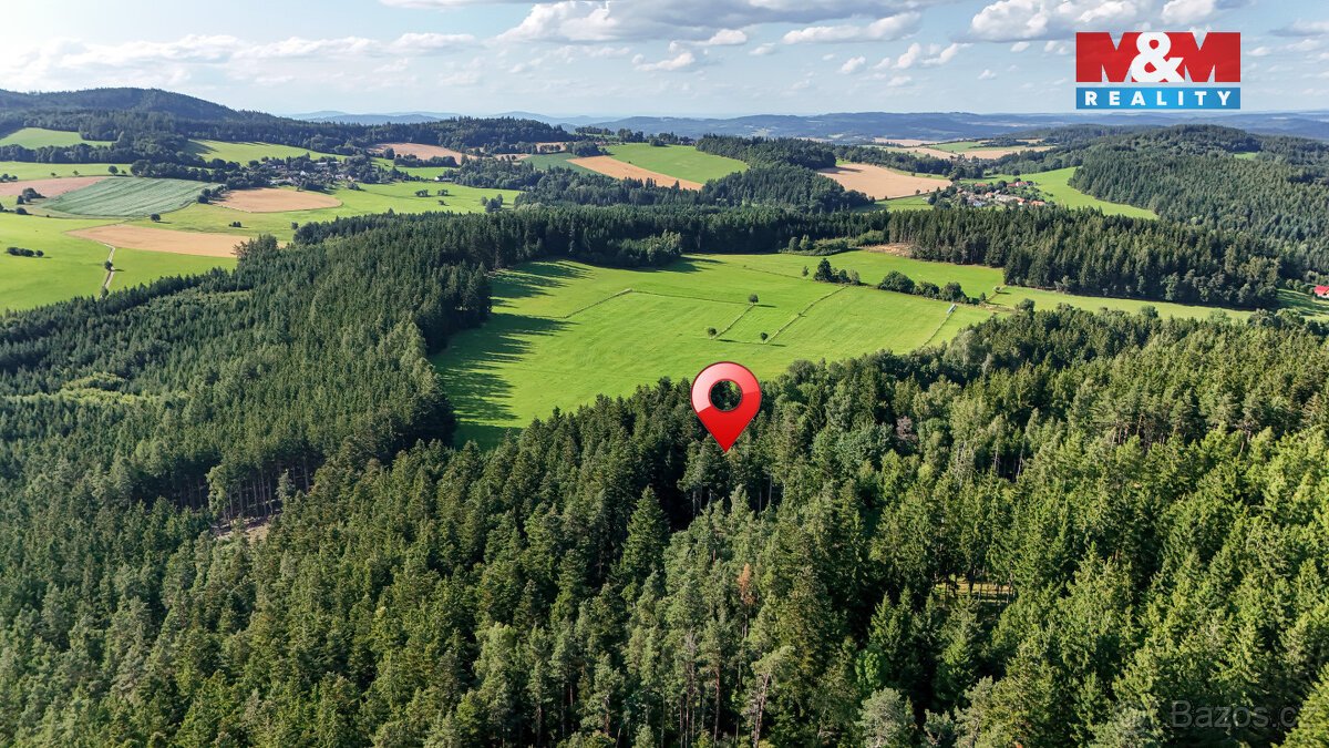Prodej lesa, 15707 m², Petrovice u Sušice