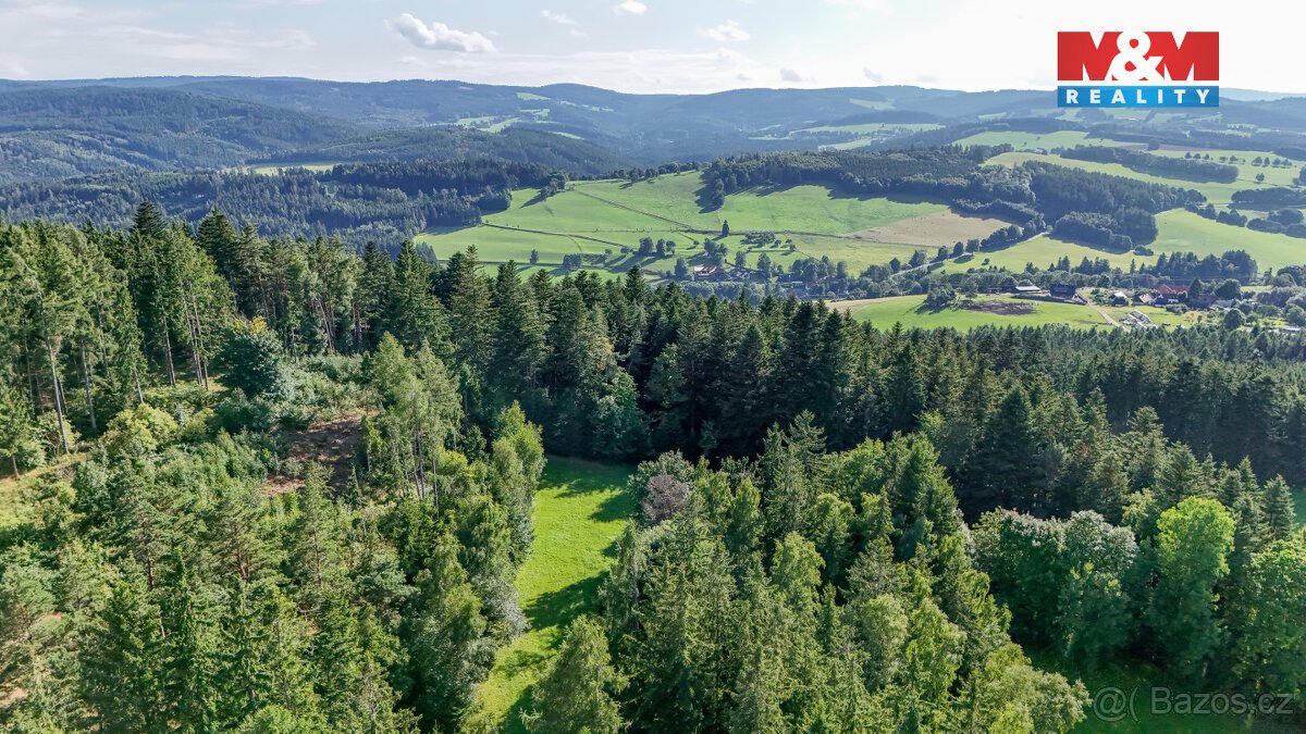 Prodej lesa, 15707 m², Petrovice u Sušice
