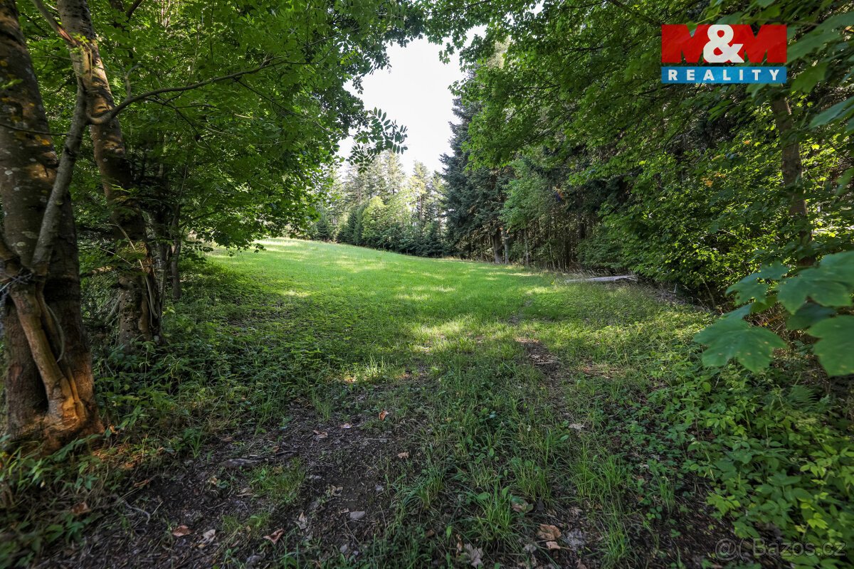 Prodej lesa, 15707 m², Petrovice u Sušice