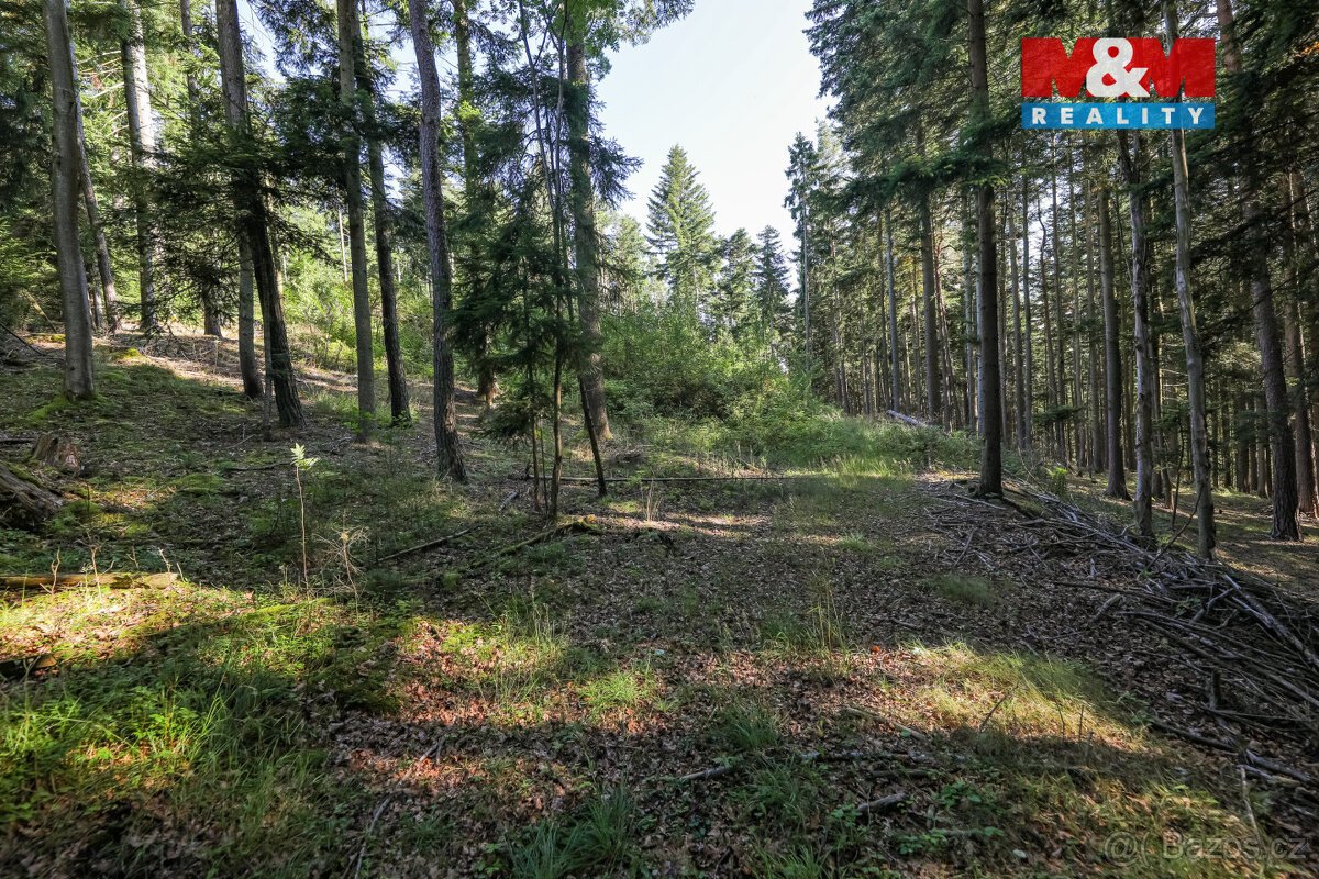Prodej lesa, 15707 m², Petrovice u Sušice