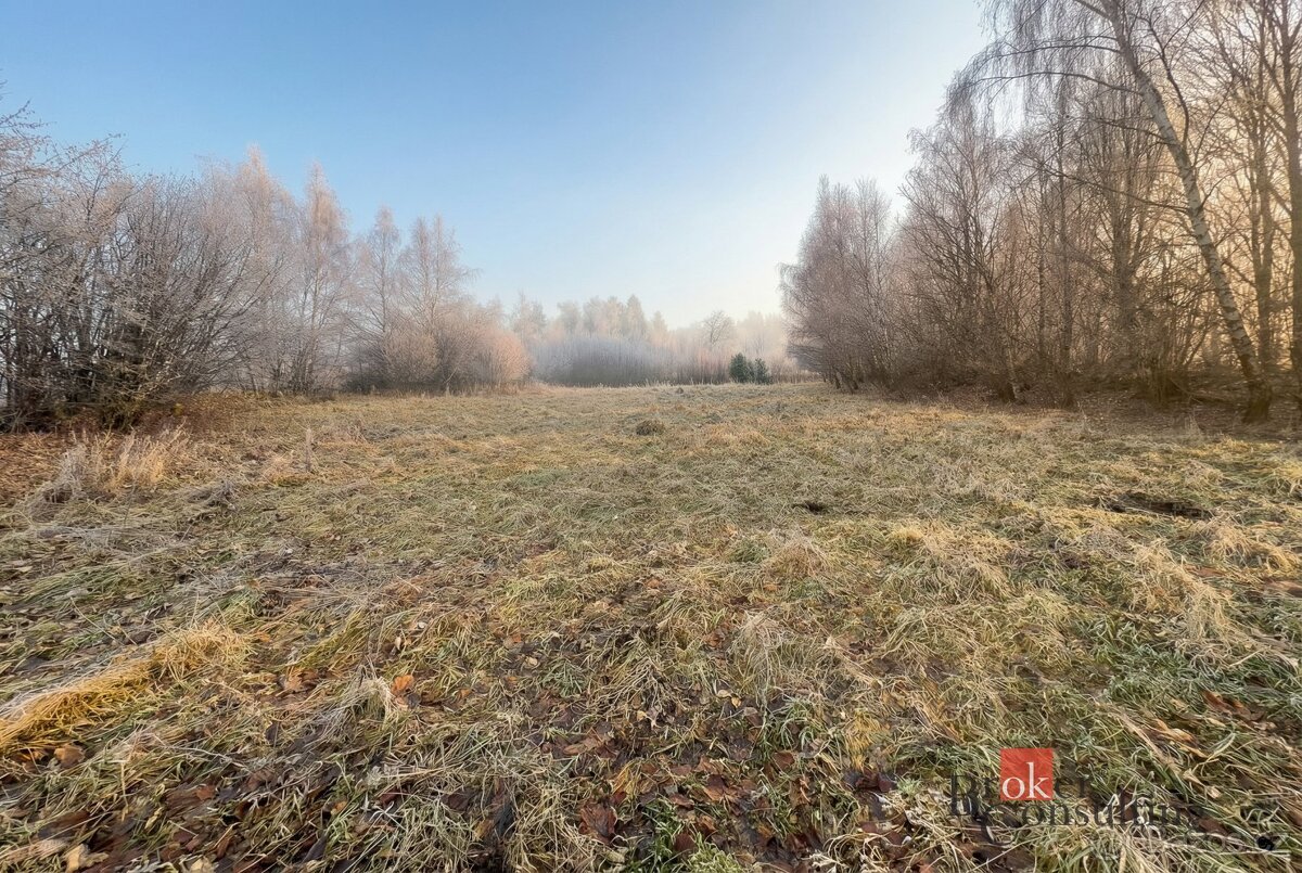 Prodej, pozemky/bydlení, 3363 m2, Strašín, Klatovy [ID 80871