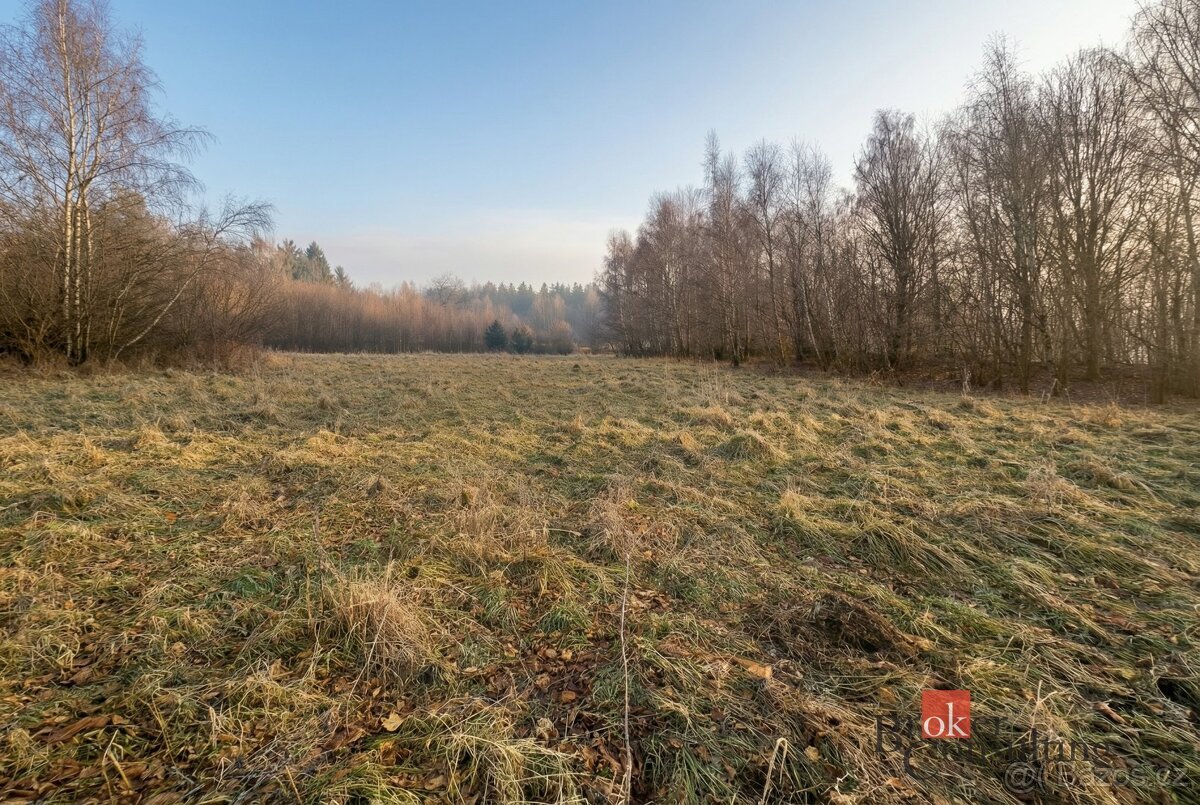 Prodej, pozemky/bydlení, 3363 m2, Strašín, Klatovy [ID 80871