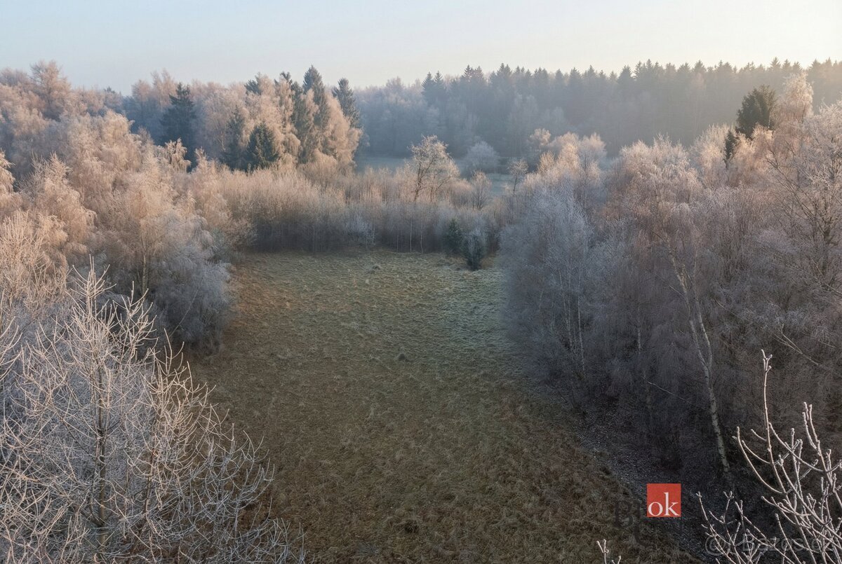 Prodej, pozemky/bydlení, 3363 m2, Strašín, Klatovy [ID 80871