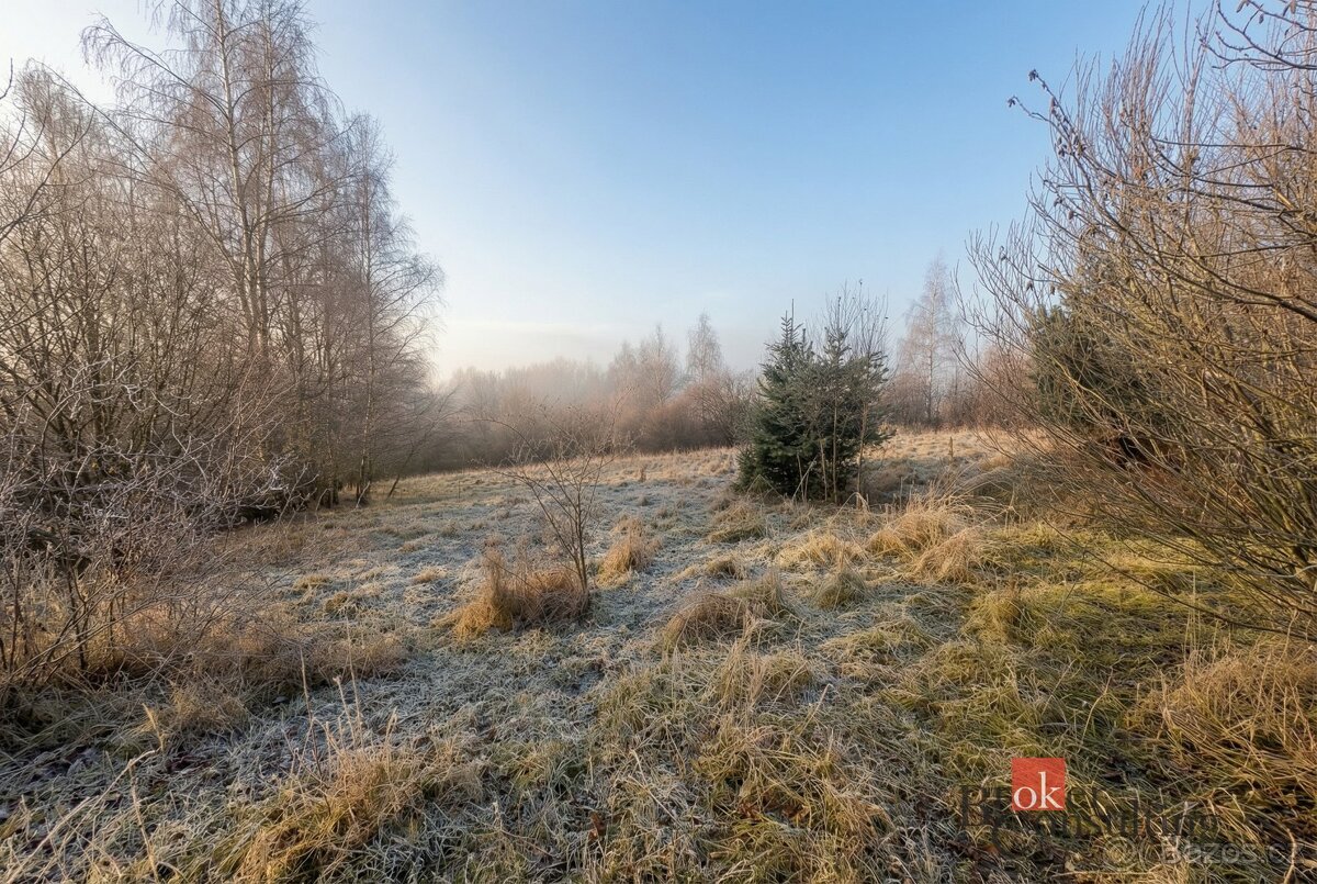 Prodej, pozemky/bydlení, 3363 m2, Strašín, Klatovy [ID 80871