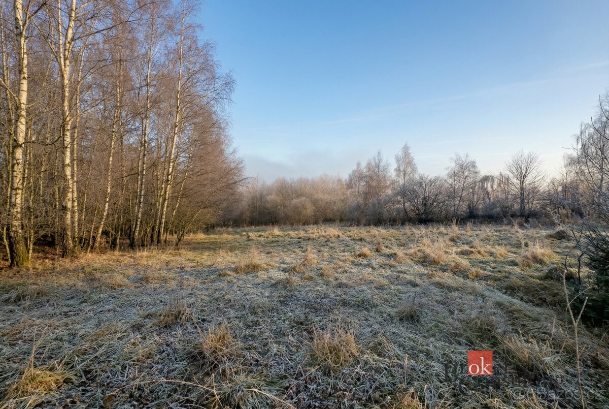 Prodej, pozemky/bydlení, 3363 m2, Strašín, Klatovy [ID 80871