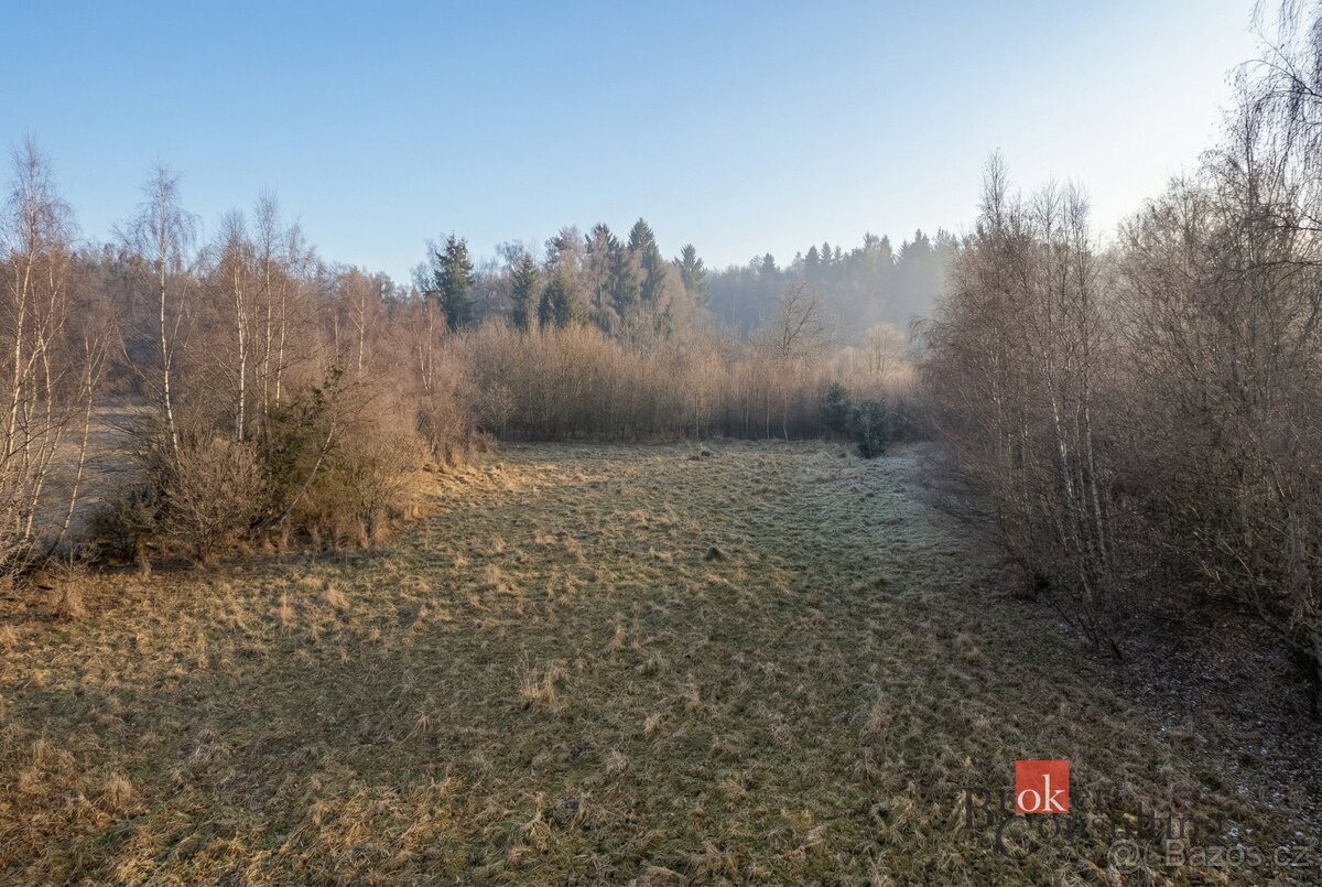Prodej, pozemky/bydlení, 3363 m2, Strašín, Klatovy [ID 80871