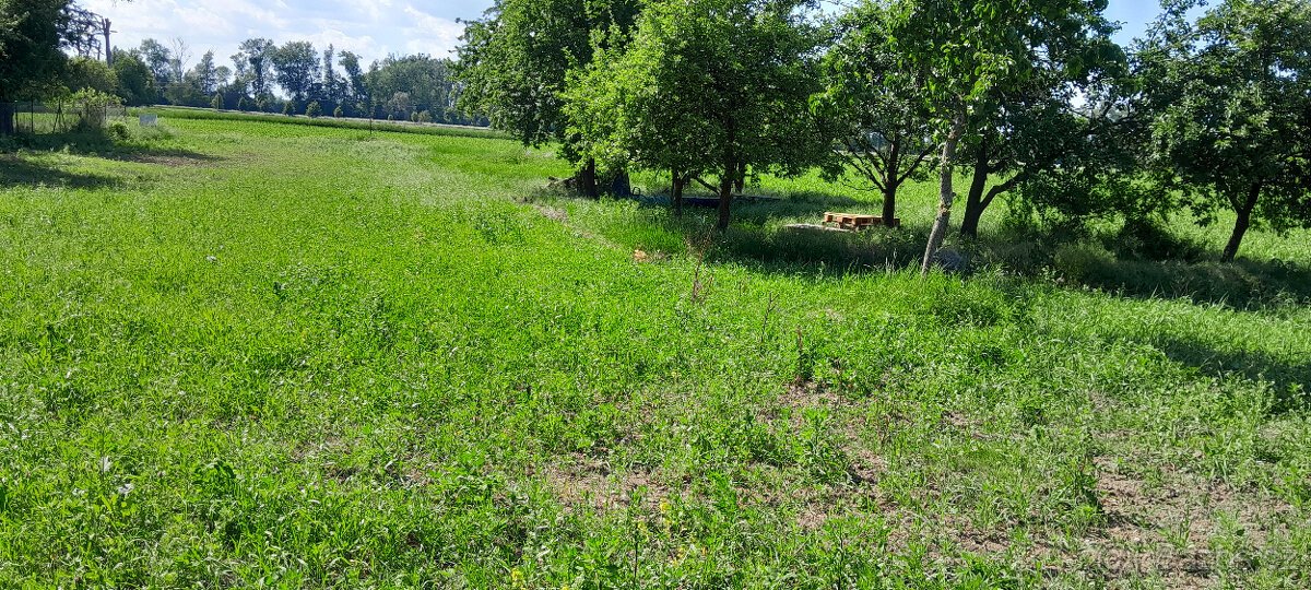 PRODÁM STAVEBNÍ POZEMEK GRYGOV 1660 m2