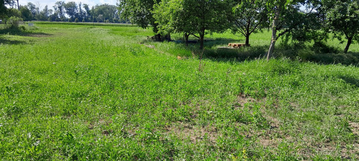 PRODÁM STAVEBNÍ POZEMEK GRYGOV 1660 m2