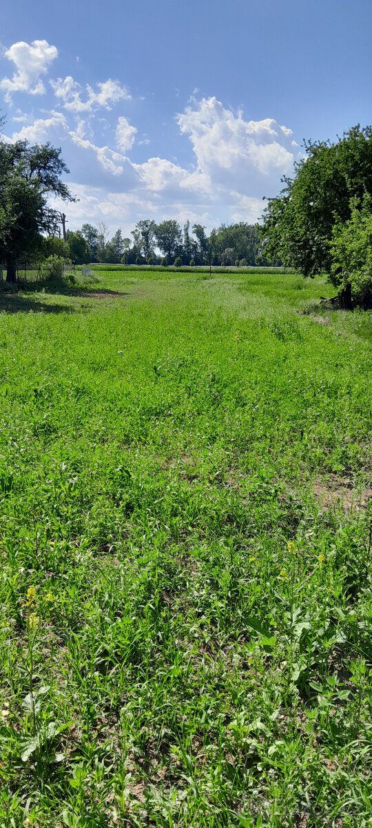 PRODÁM STAVEBNÍ POZEMEK GRYGOV 1660 m2
