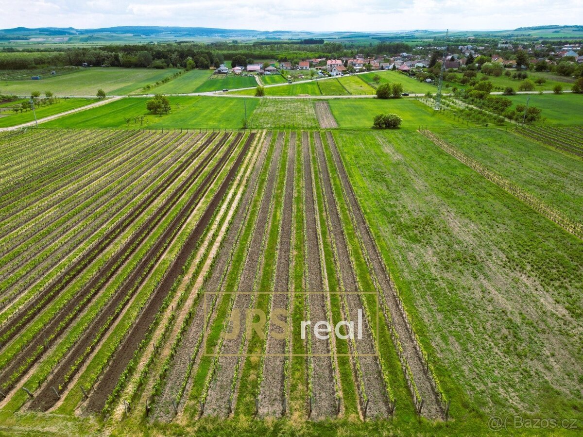 Prodej zavedené vinice 3 474 m², Březí, ev.č. 130105JV