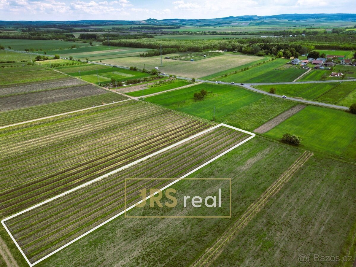 Prodej zavedené vinice 3 474 m², Březí, ev.č. 130105JV