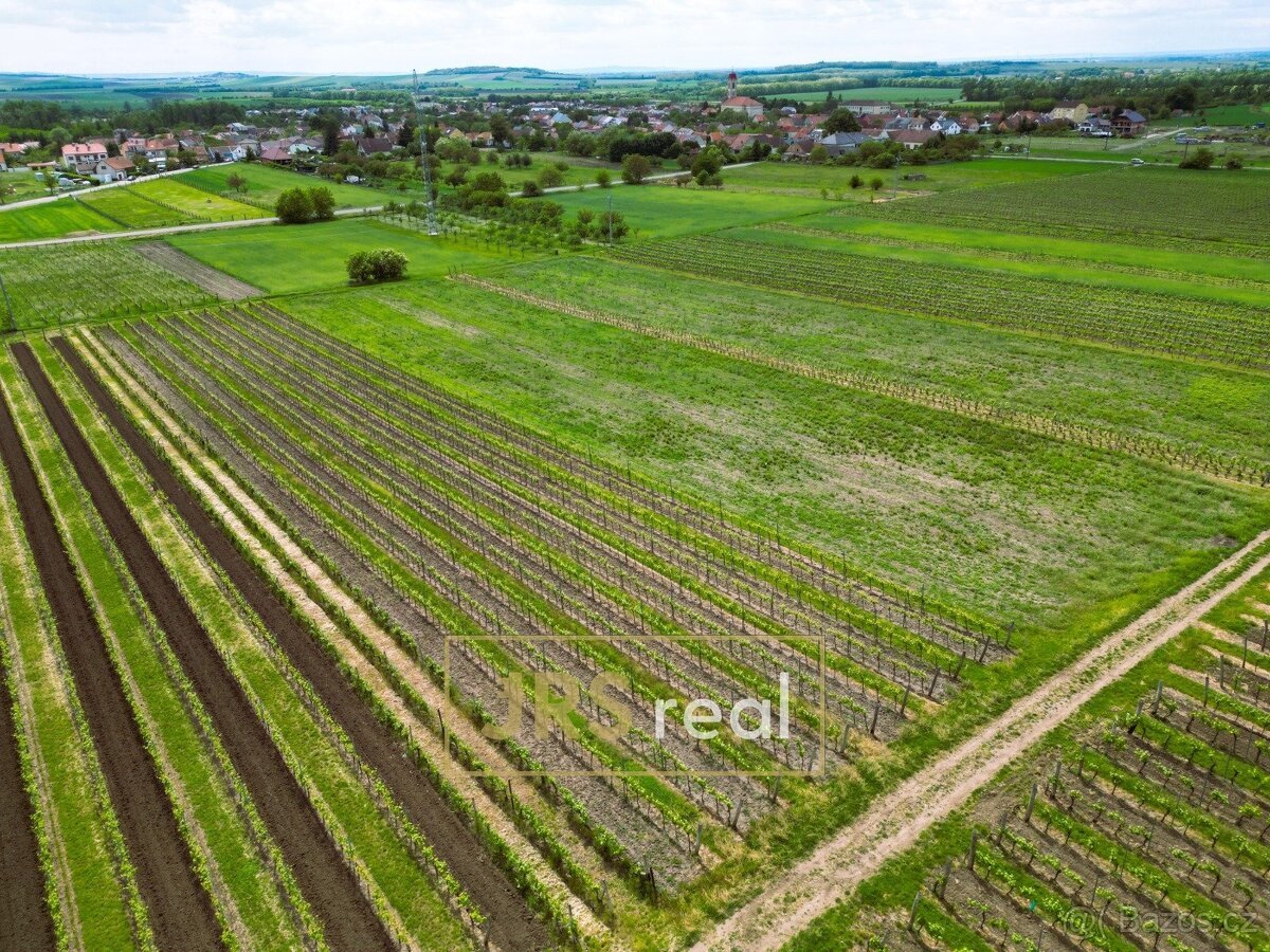 Prodej zavedené vinice 3 474 m², Březí, ev.č. 130105JV