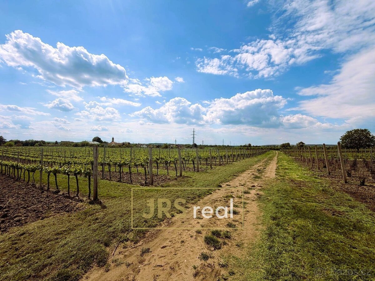 Prodej zavedené vinice 3 474 m², Březí, ev.č. 130105JV