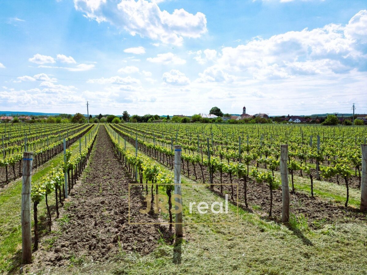 Prodej zavedené vinice 3 474 m², Březí, ev.č. 130105JV