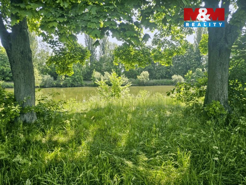 Prodej louky, 4850 m², Hradec Králové