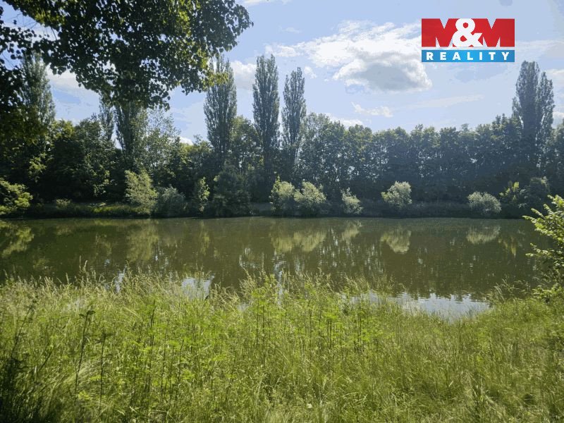 Prodej louky, 4850 m², Hradec Králové