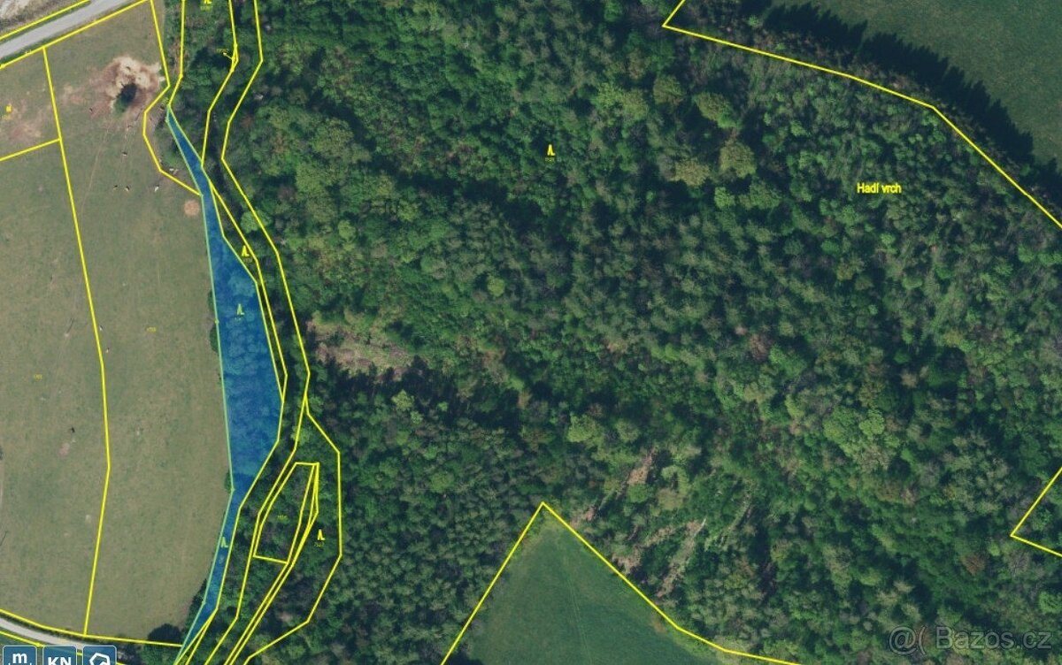 Prodej lesa 3 247 m², Skorošice, ev.č. 10138