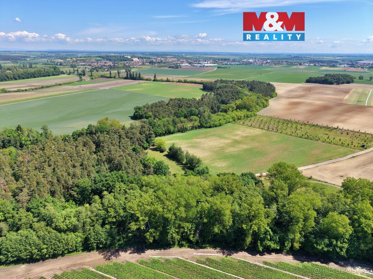 Prodej lesa, 5227 m², Lysá nad Labem