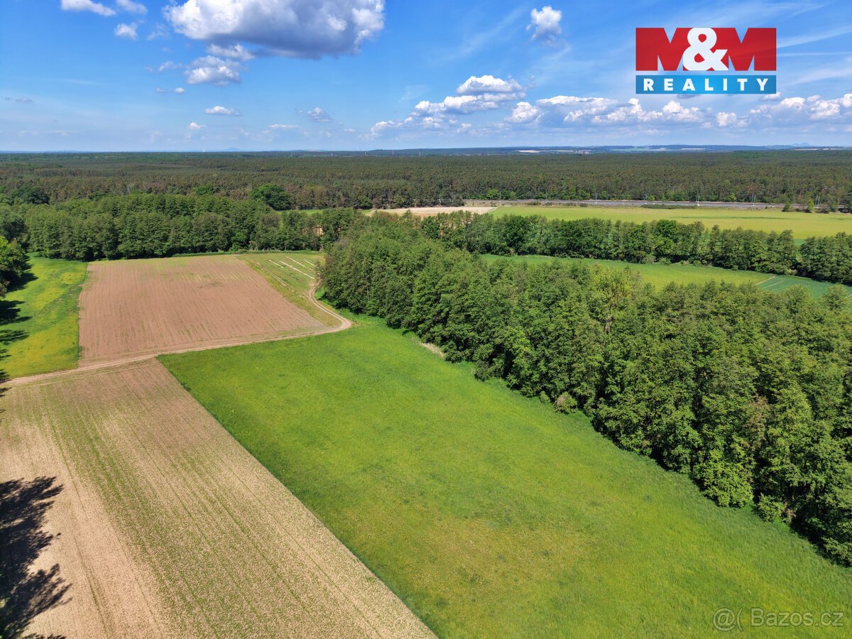 Prodej lesa, 5227 m², Lysá nad Labem
