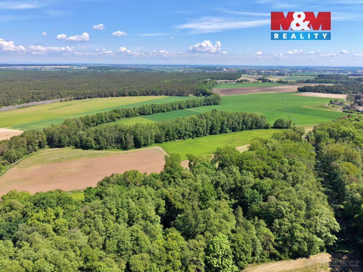 Prodej lesa, 5227 m², Lysá nad Labem