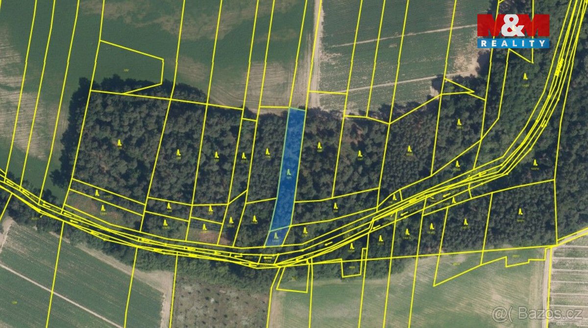 Prodej lesa, 5227 m², Lysá nad Labem