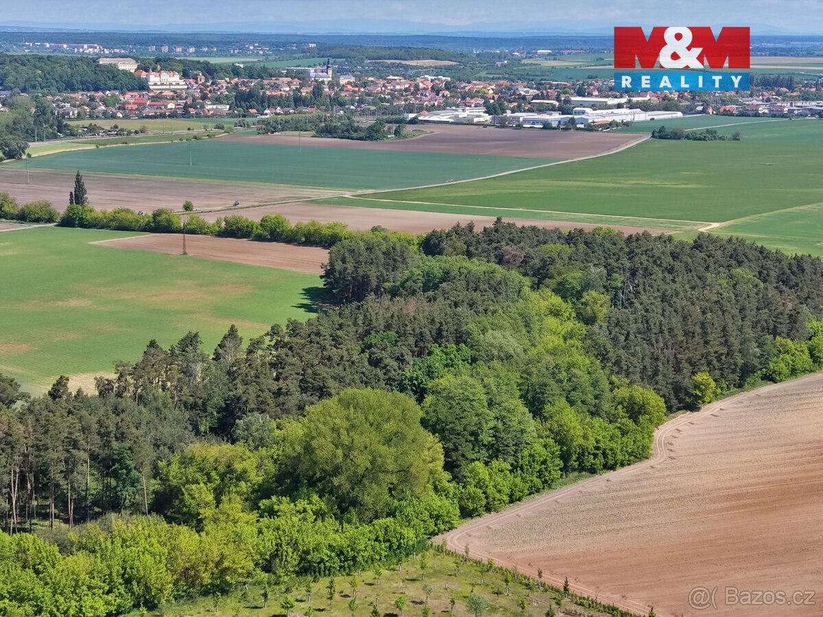 Prodej lesa, 5227 m², Lysá nad Labem