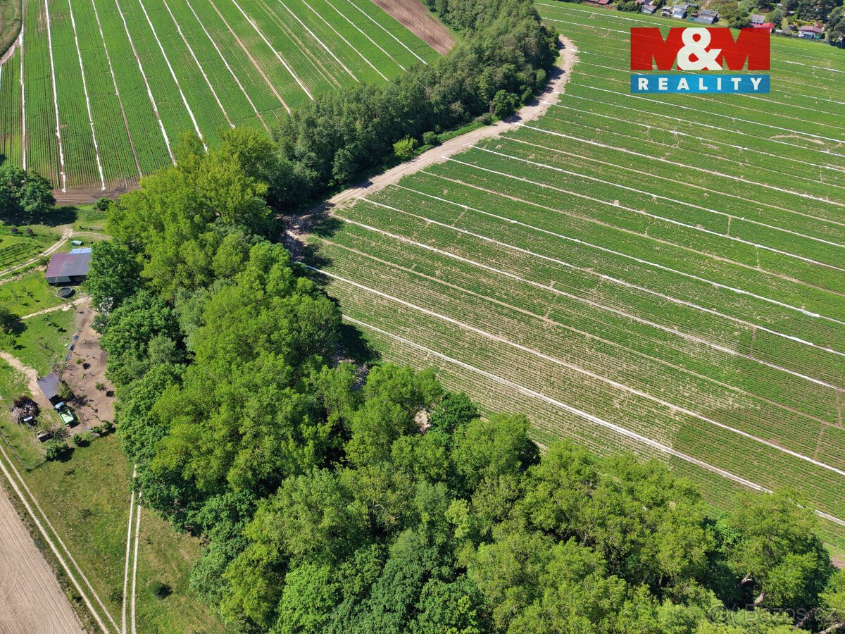 Prodej lesa, 5227 m², Lysá nad Labem