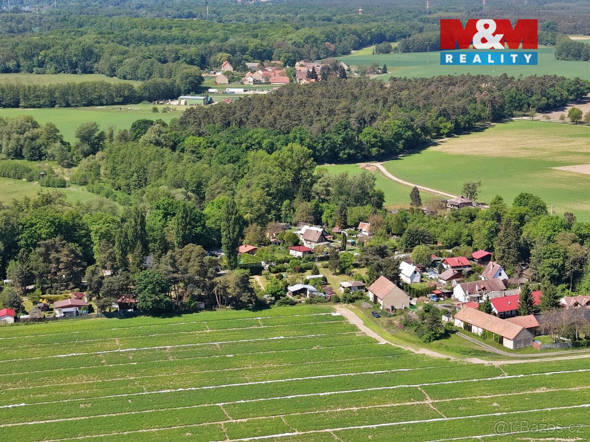 Prodej lesa, 5227 m², Lysá nad Labem