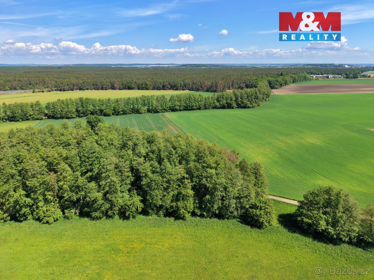 Prodej lesa, 5227 m², Lysá nad Labem