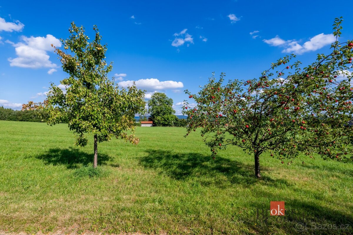 Prodej, pozemky/louka, 7126 m2, Horní Chrastava 11, 46331 Ch