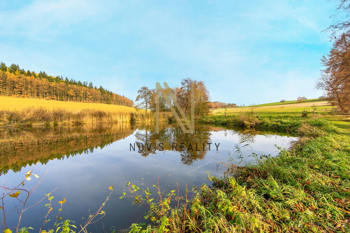 Prodej, rybník, 2 713 m², Týnec, okres Klatovy