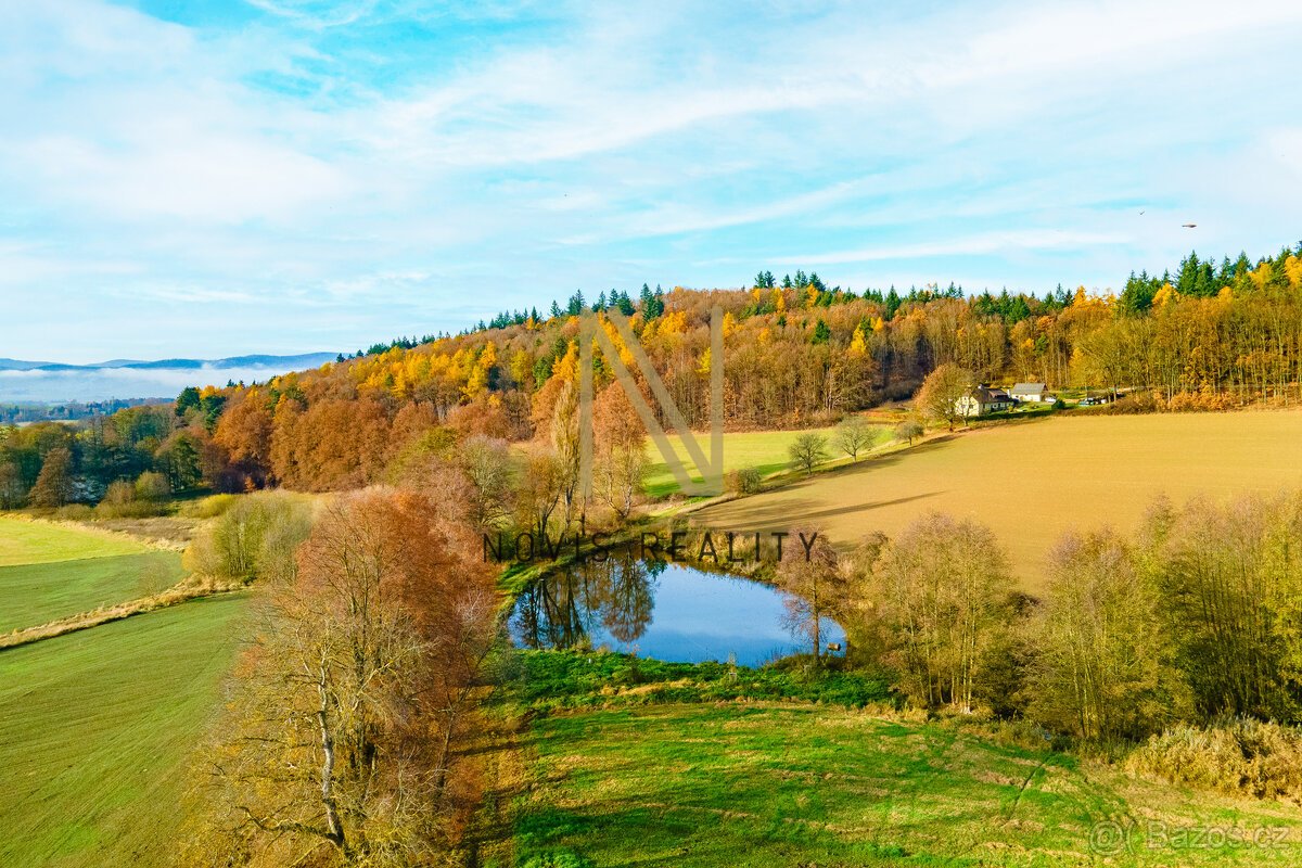 Prodej, rybník, 2 713 m², Týnec, okres Klatovy