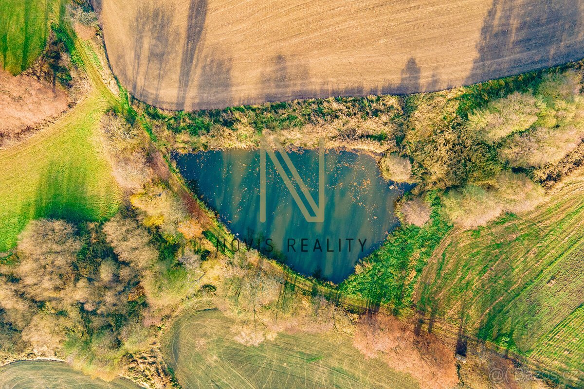 Prodej, rybník, 2 713 m², Týnec, okres Klatovy