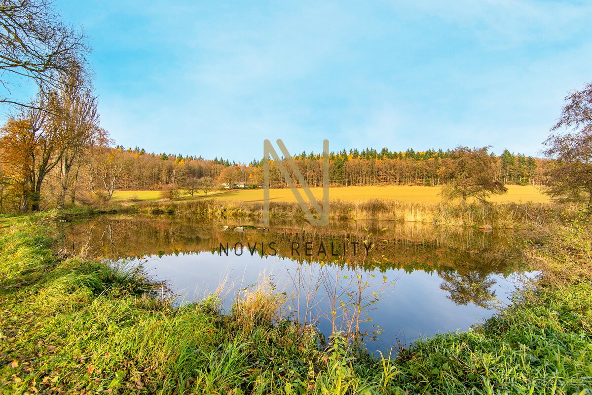 Prodej, rybník, 2 713 m², Týnec, okres Klatovy